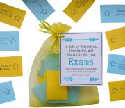 A-Levels Good Luck Exam Gift \/ Revision Gift -Quote of Motivation, Inspiration, and Positivity for your Exams