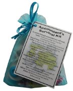 Accountant's Survival Kit - Great gift for an accountant -