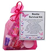 Bestie Survival Kit Gift  - Friend Gift, Ideal birthday gift for Bestie, excellent Friendship gift, Bestie present, present for BFF, Friend Gifts for Friend