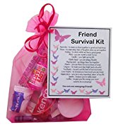 Friend Survival Kit Gift  - Friend Gift, Ideal birthday gift for Friend, excellent Friendship gift, friend present, present for friend, Friend Gifts for Friend