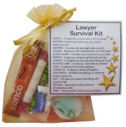 Lawyer Survival Kit Gift  - New job, law student gift, work gift, Secret santa gift for colleague