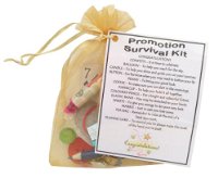 Promotion Survival Kit Gift  - Great novelty gift or alternative to a card