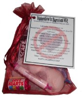 Single Person's Valentine's Day Survival Kit Gift-Great way to cheer up your friend