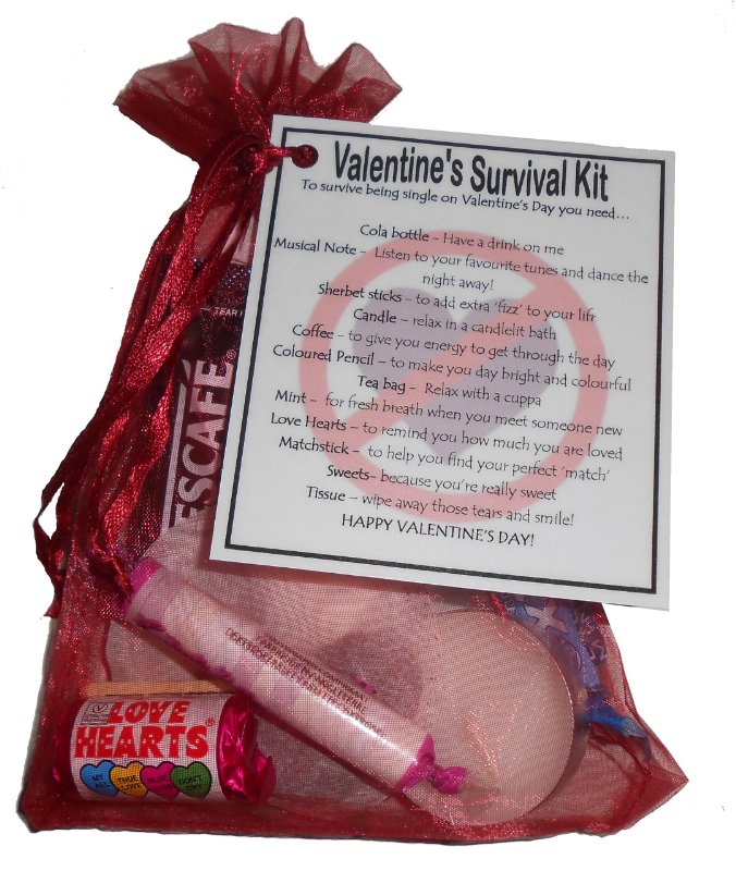 single-person-s-valentine-s-day-survival-kit-gift-great-way-to-cheer