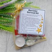 Barrister Survival Kit Gift  - New job, law student gift, work gift, Secret santa gift for colleague