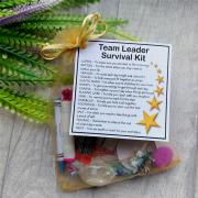 Team Leader Survival Kit Gift  - New job, work gift, Secret santa gift for Team Leader Gift