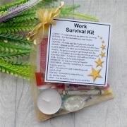 Work Survival Kit Gift  - New job, work gift, Secret santa gift for colleague
