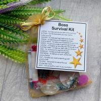 Boss Survival Kit Gift  - New job, work gift, Secret santa gift for the boss