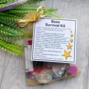 Boss Survival Kit Gift  - New job, work gift, Secret santa gift for the boss