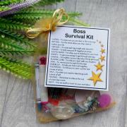 Boss Survival Kit Gift  - New job, work gift, Secret santa gift for the boss