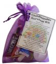 Childminder Survival Kit-A great small token gift to say thank you