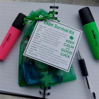 Exam Survival Kit - great novelty gift for any exam  - e.g. GSCE, A-Levels, University Exams, Professional Exams