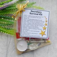 Secretary Survival Kit Gift  - New job, PA gift, Secret santa office gift for colleague