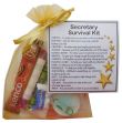 Secretary Survival Kit Gift  - New job, PA gift, Secret santa office gift for colleague