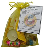 Stress Survival Kit Gift - Great mini novelty gift to cheer up a ...